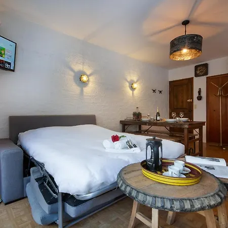 Sainte-foy-l'argentiere Sleeps 4 Pool *